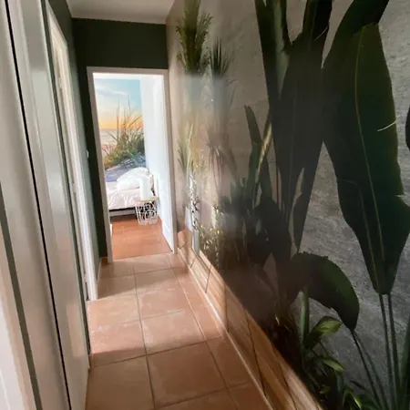 Maison Cauviere Marseilles